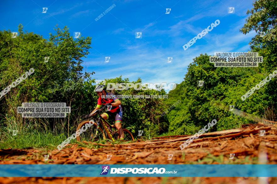 1º CAMPEONATO CINTURÃO VERDE BOUGAINVILLE PREMIUM - PRIMEIRA ETAPA