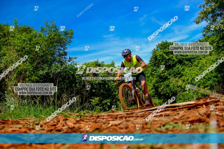 1º CAMPEONATO CINTURÃO VERDE BOUGAINVILLE PREMIUM - PRIMEIRA ETAPA