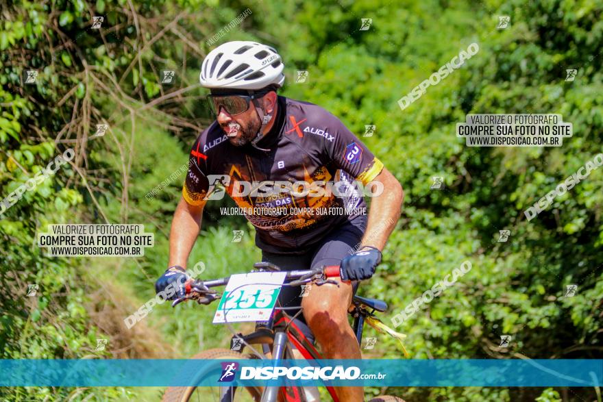 1º CAMPEONATO CINTURÃO VERDE BOUGAINVILLE PREMIUM - PRIMEIRA ETAPA