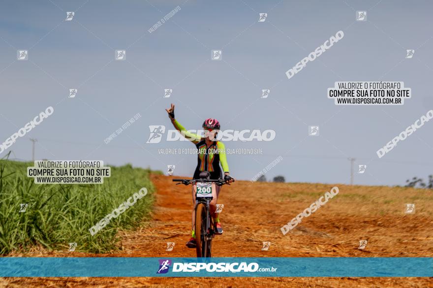 1º CAMPEONATO CINTURÃO VERDE BOUGAINVILLE PREMIUM - PRIMEIRA ETAPA