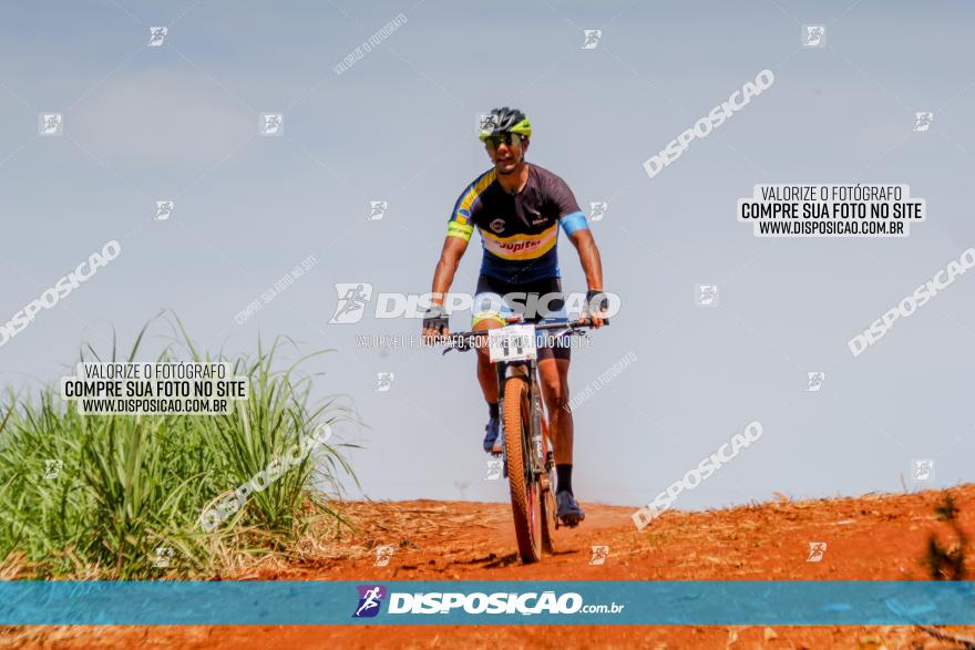 1º CAMPEONATO CINTURÃO VERDE BOUGAINVILLE PREMIUM - PRIMEIRA ETAPA