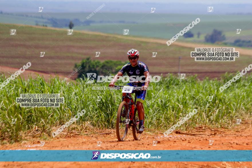 1º CAMPEONATO CINTURÃO VERDE BOUGAINVILLE PREMIUM - PRIMEIRA ETAPA