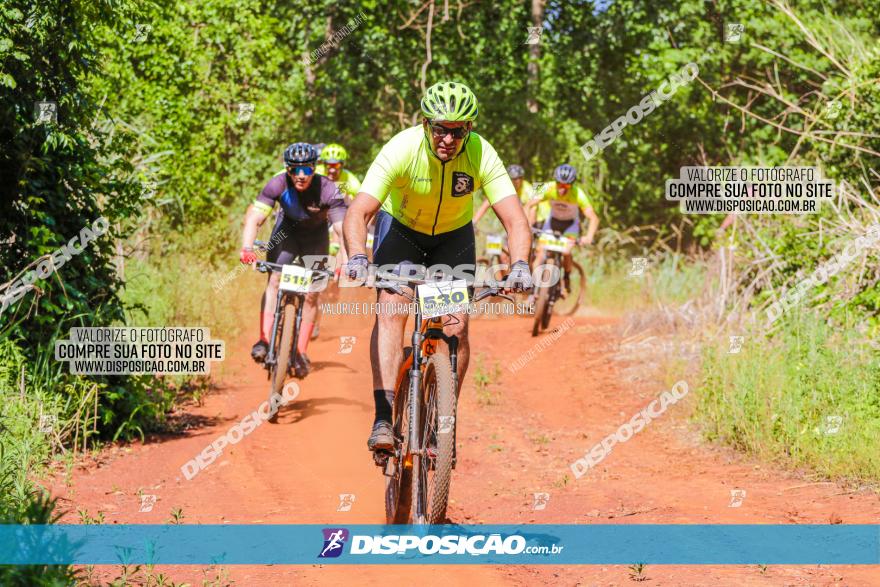 1º CAMPEONATO CINTURÃO VERDE BOUGAINVILLE PREMIUM - PRIMEIRA ETAPA