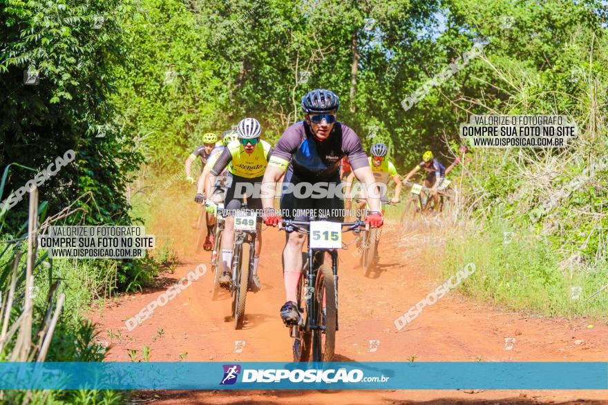 1º CAMPEONATO CINTURÃO VERDE BOUGAINVILLE PREMIUM - PRIMEIRA ETAPA