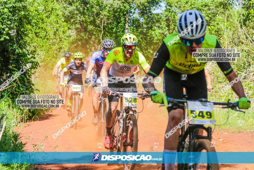 1º CAMPEONATO CINTURÃO VERDE BOUGAINVILLE PREMIUM - PRIMEIRA ETAPA