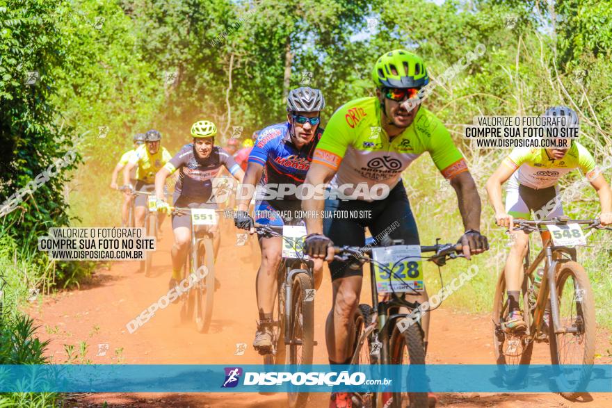 1º CAMPEONATO CINTURÃO VERDE BOUGAINVILLE PREMIUM - PRIMEIRA ETAPA