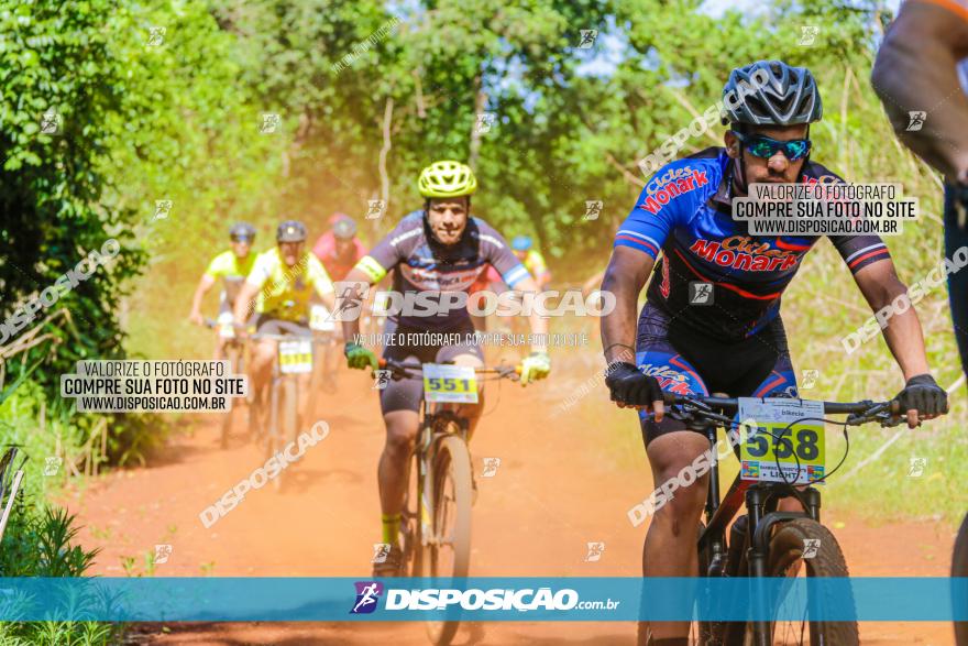 1º CAMPEONATO CINTURÃO VERDE BOUGAINVILLE PREMIUM - PRIMEIRA ETAPA