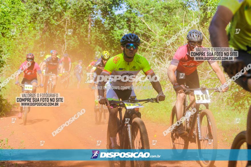 1º CAMPEONATO CINTURÃO VERDE BOUGAINVILLE PREMIUM - PRIMEIRA ETAPA