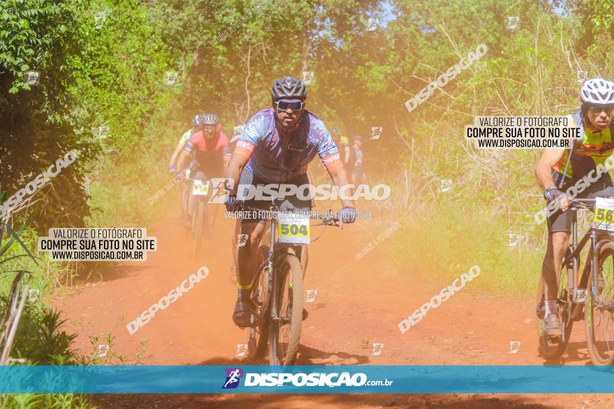 1º CAMPEONATO CINTURÃO VERDE BOUGAINVILLE PREMIUM - PRIMEIRA ETAPA