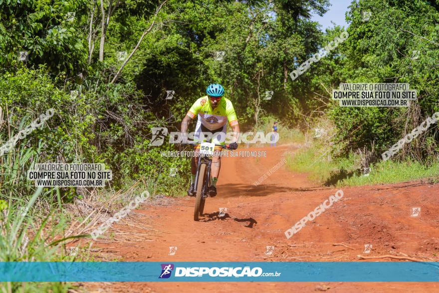 1º CAMPEONATO CINTURÃO VERDE BOUGAINVILLE PREMIUM - PRIMEIRA ETAPA