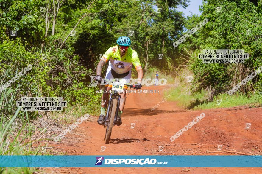 1º CAMPEONATO CINTURÃO VERDE BOUGAINVILLE PREMIUM - PRIMEIRA ETAPA