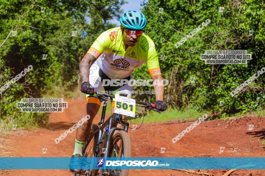 1º CAMPEONATO CINTURÃO VERDE BOUGAINVILLE PREMIUM - PRIMEIRA ETAPA