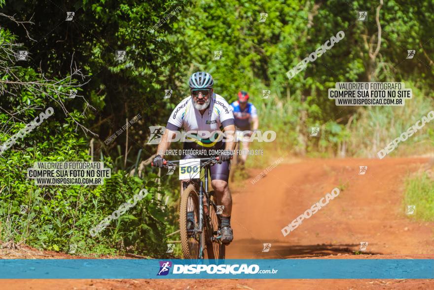 1º CAMPEONATO CINTURÃO VERDE BOUGAINVILLE PREMIUM - PRIMEIRA ETAPA