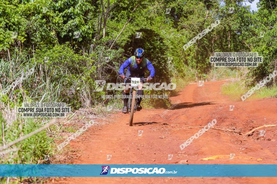 1º CAMPEONATO CINTURÃO VERDE BOUGAINVILLE PREMIUM - PRIMEIRA ETAPA