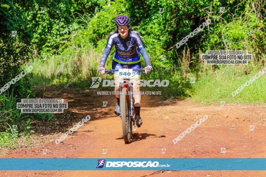 1º CAMPEONATO CINTURÃO VERDE BOUGAINVILLE PREMIUM - PRIMEIRA ETAPA