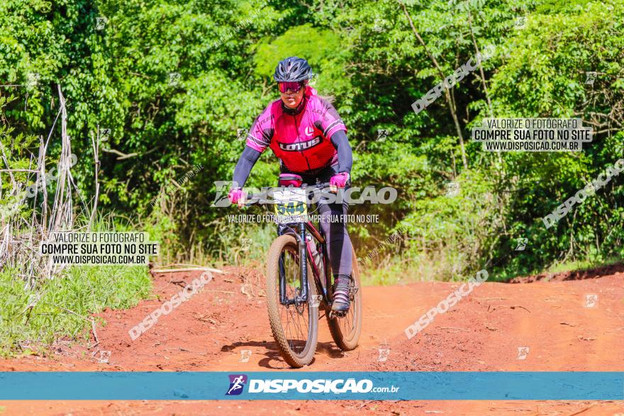 1º CAMPEONATO CINTURÃO VERDE BOUGAINVILLE PREMIUM - PRIMEIRA ETAPA