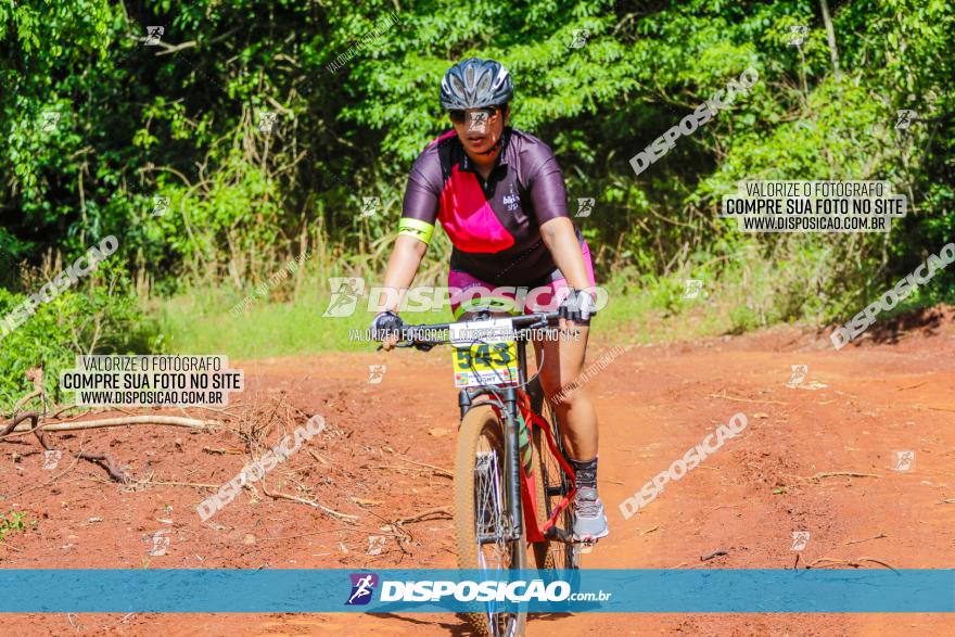 1º CAMPEONATO CINTURÃO VERDE BOUGAINVILLE PREMIUM - PRIMEIRA ETAPA