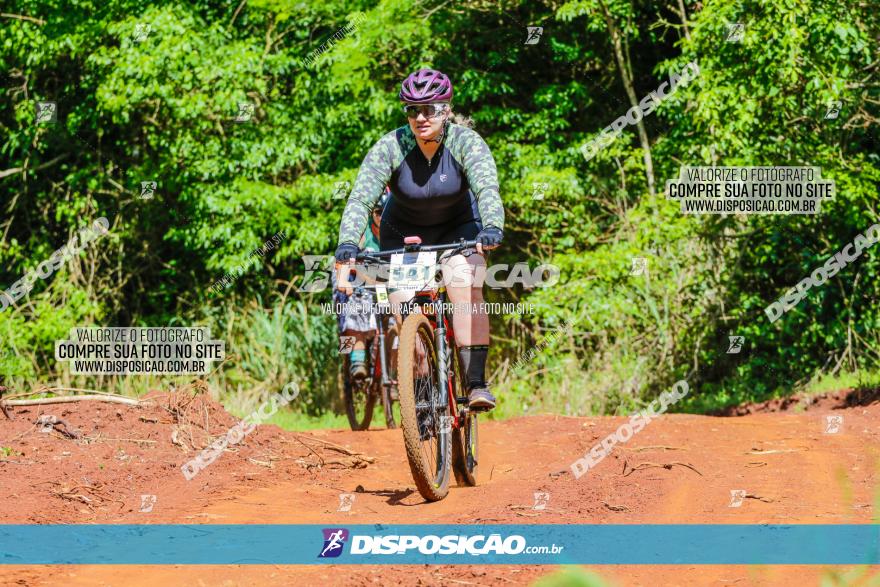 1º CAMPEONATO CINTURÃO VERDE BOUGAINVILLE PREMIUM - PRIMEIRA ETAPA