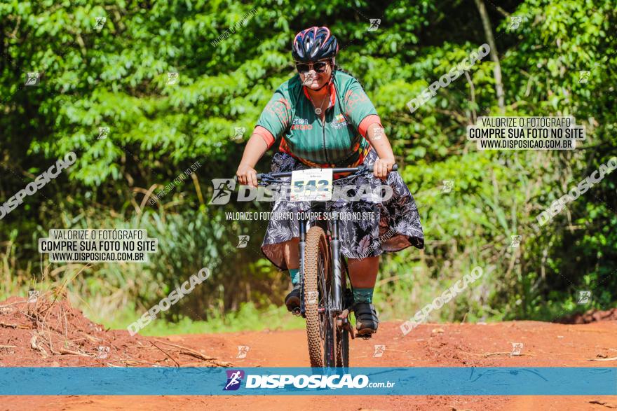 1º CAMPEONATO CINTURÃO VERDE BOUGAINVILLE PREMIUM - PRIMEIRA ETAPA