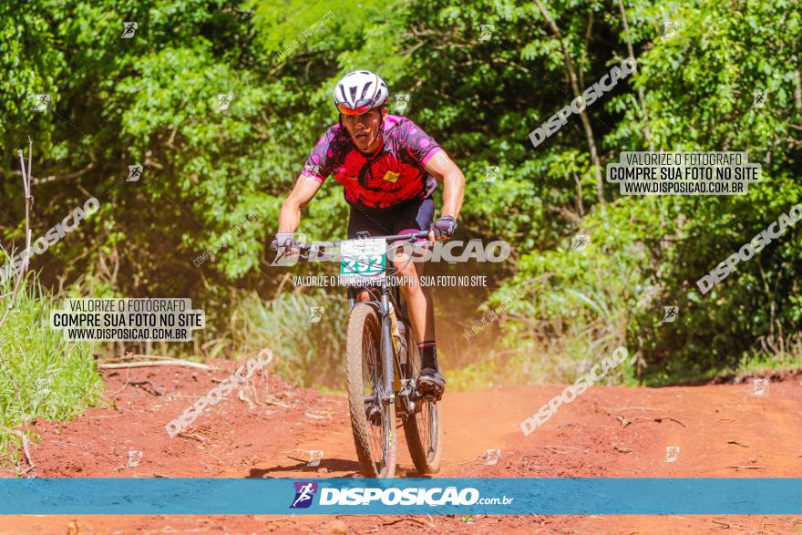 1º CAMPEONATO CINTURÃO VERDE BOUGAINVILLE PREMIUM - PRIMEIRA ETAPA