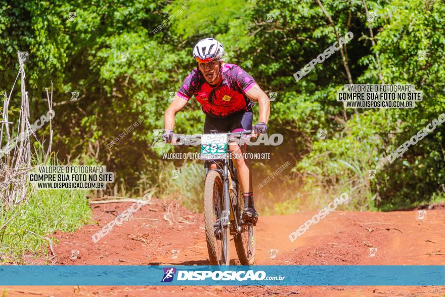 1º CAMPEONATO CINTURÃO VERDE BOUGAINVILLE PREMIUM - PRIMEIRA ETAPA