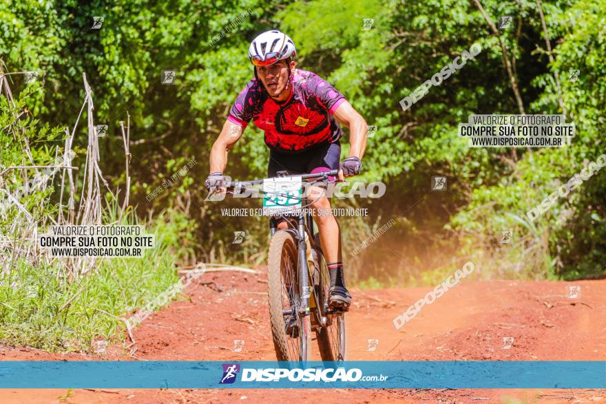 1º CAMPEONATO CINTURÃO VERDE BOUGAINVILLE PREMIUM - PRIMEIRA ETAPA