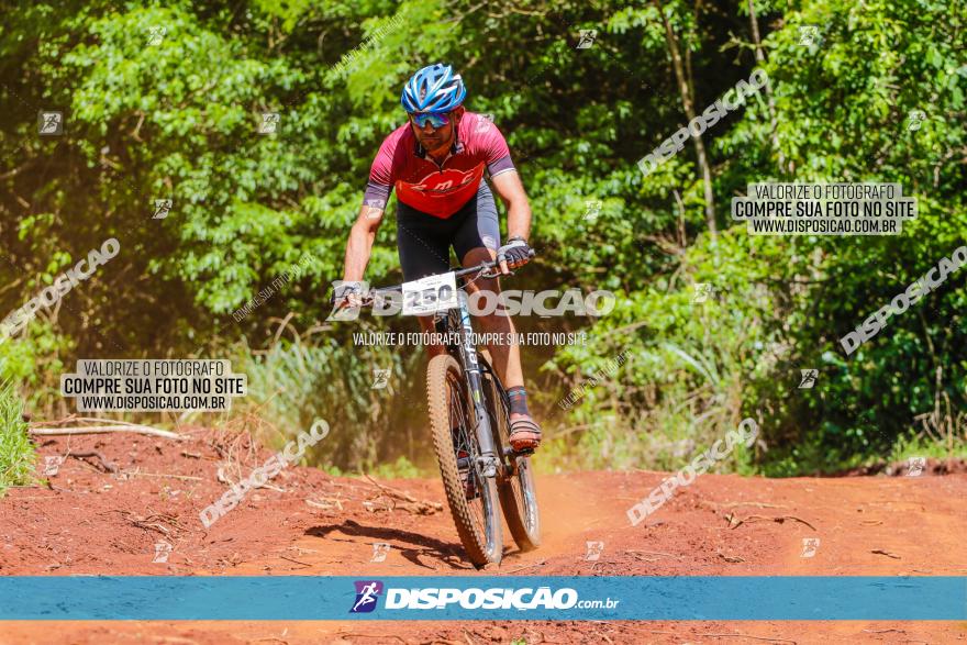 1º CAMPEONATO CINTURÃO VERDE BOUGAINVILLE PREMIUM - PRIMEIRA ETAPA