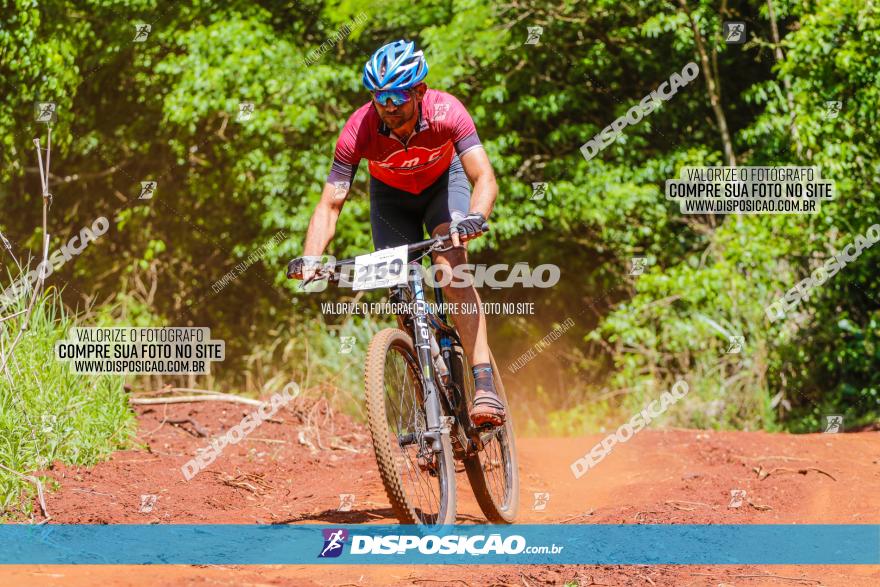 1º CAMPEONATO CINTURÃO VERDE BOUGAINVILLE PREMIUM - PRIMEIRA ETAPA