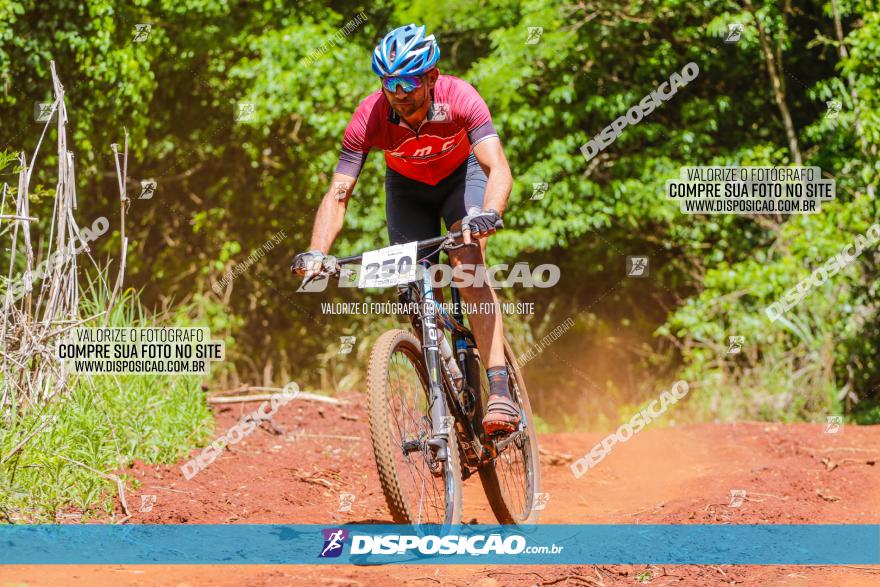 1º CAMPEONATO CINTURÃO VERDE BOUGAINVILLE PREMIUM - PRIMEIRA ETAPA