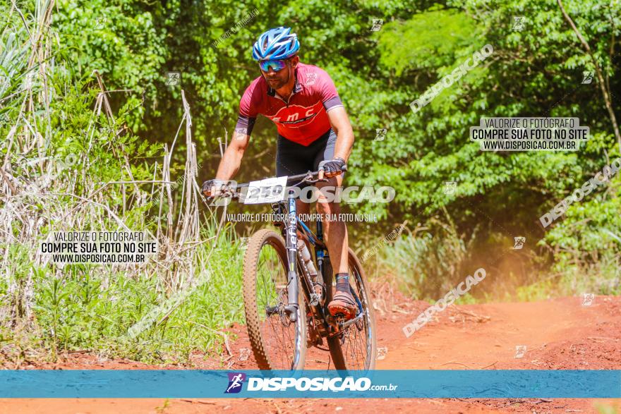 1º CAMPEONATO CINTURÃO VERDE BOUGAINVILLE PREMIUM - PRIMEIRA ETAPA