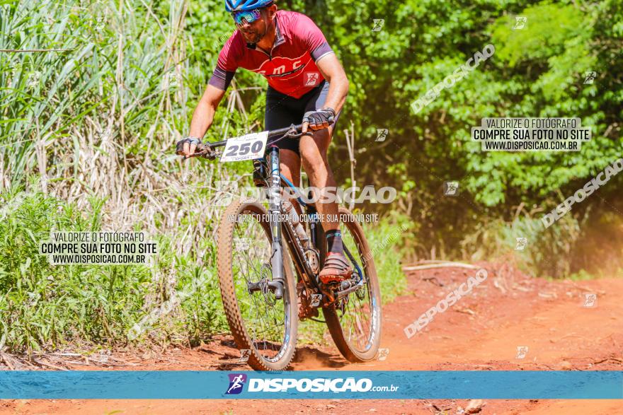 1º CAMPEONATO CINTURÃO VERDE BOUGAINVILLE PREMIUM - PRIMEIRA ETAPA