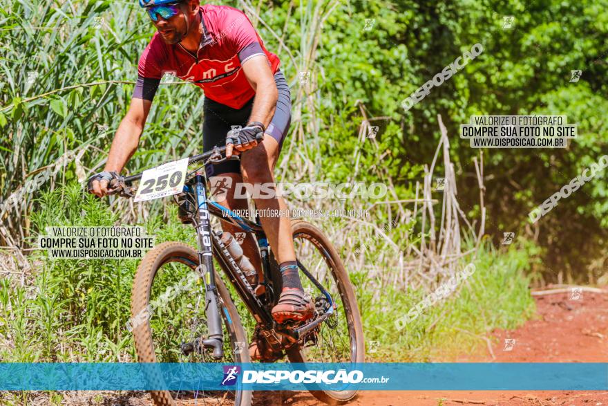 1º CAMPEONATO CINTURÃO VERDE BOUGAINVILLE PREMIUM - PRIMEIRA ETAPA