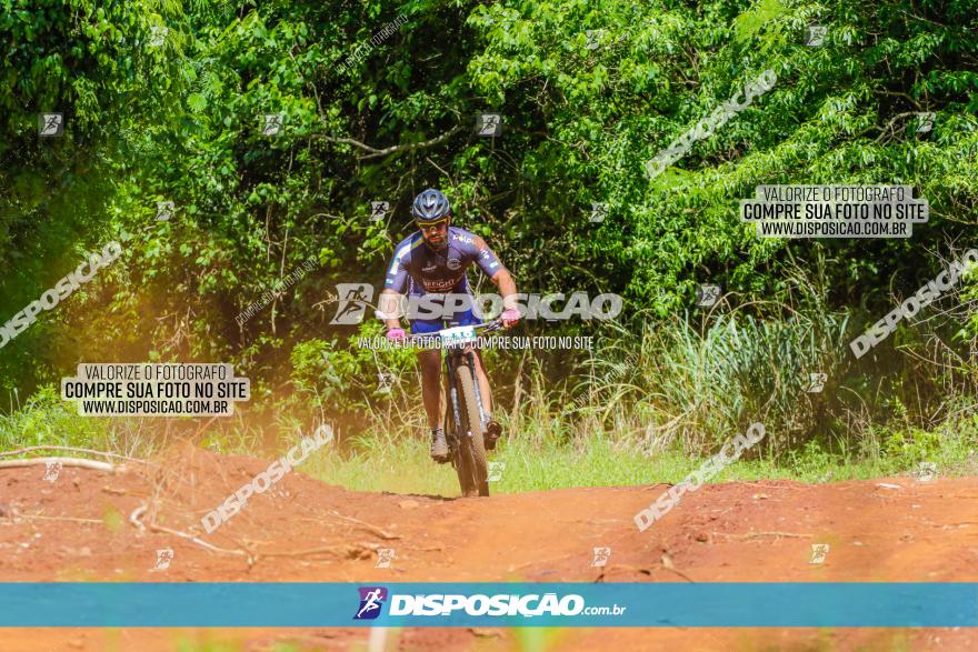 1º CAMPEONATO CINTURÃO VERDE BOUGAINVILLE PREMIUM - PRIMEIRA ETAPA