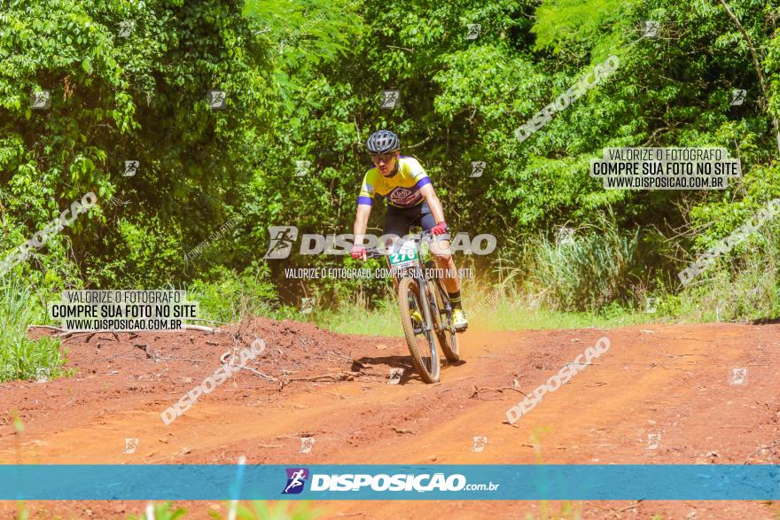 1º CAMPEONATO CINTURÃO VERDE BOUGAINVILLE PREMIUM - PRIMEIRA ETAPA