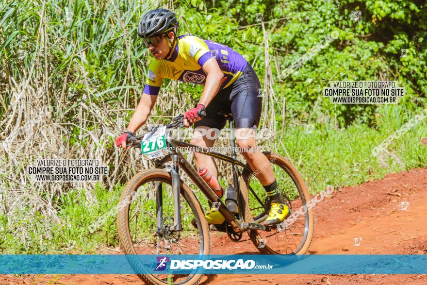 1º CAMPEONATO CINTURÃO VERDE BOUGAINVILLE PREMIUM - PRIMEIRA ETAPA