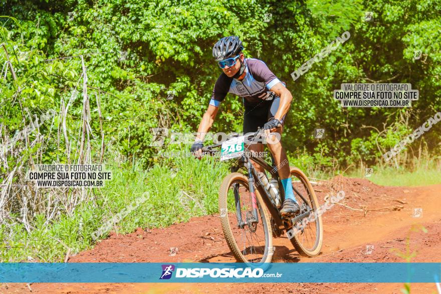 1º CAMPEONATO CINTURÃO VERDE BOUGAINVILLE PREMIUM - PRIMEIRA ETAPA