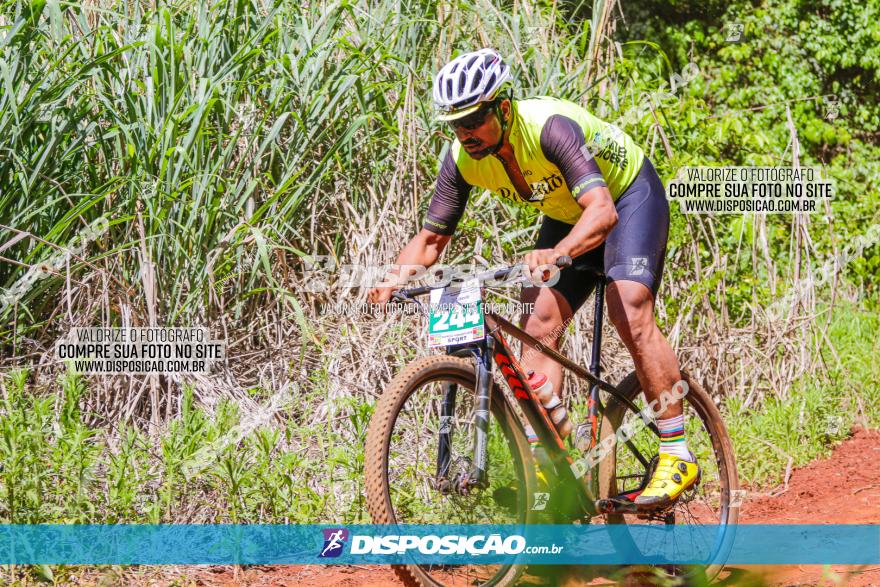 1º CAMPEONATO CINTURÃO VERDE BOUGAINVILLE PREMIUM - PRIMEIRA ETAPA