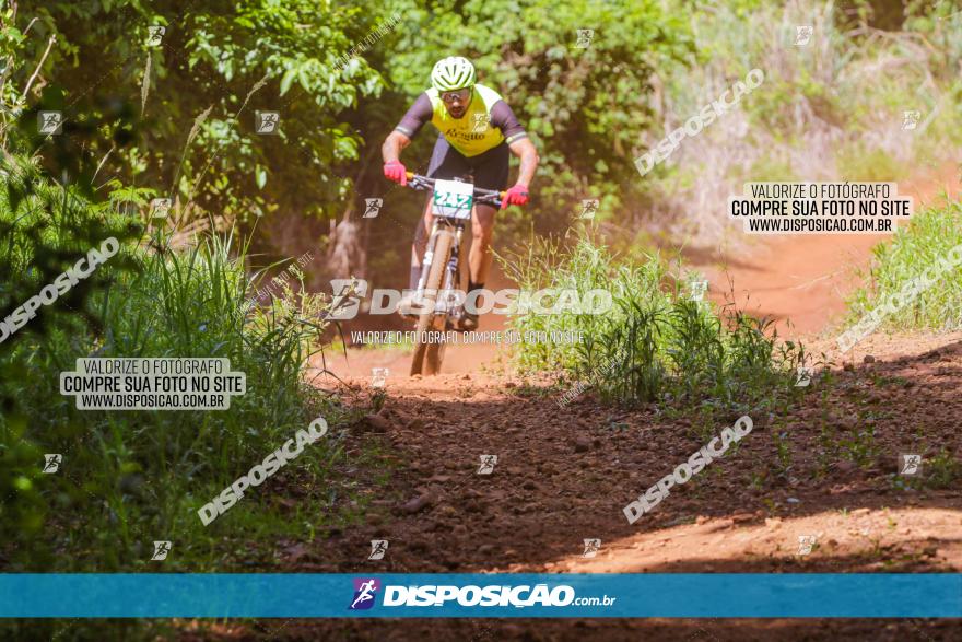 1º CAMPEONATO CINTURÃO VERDE BOUGAINVILLE PREMIUM - PRIMEIRA ETAPA