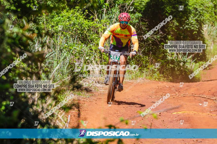 1º CAMPEONATO CINTURÃO VERDE BOUGAINVILLE PREMIUM - PRIMEIRA ETAPA