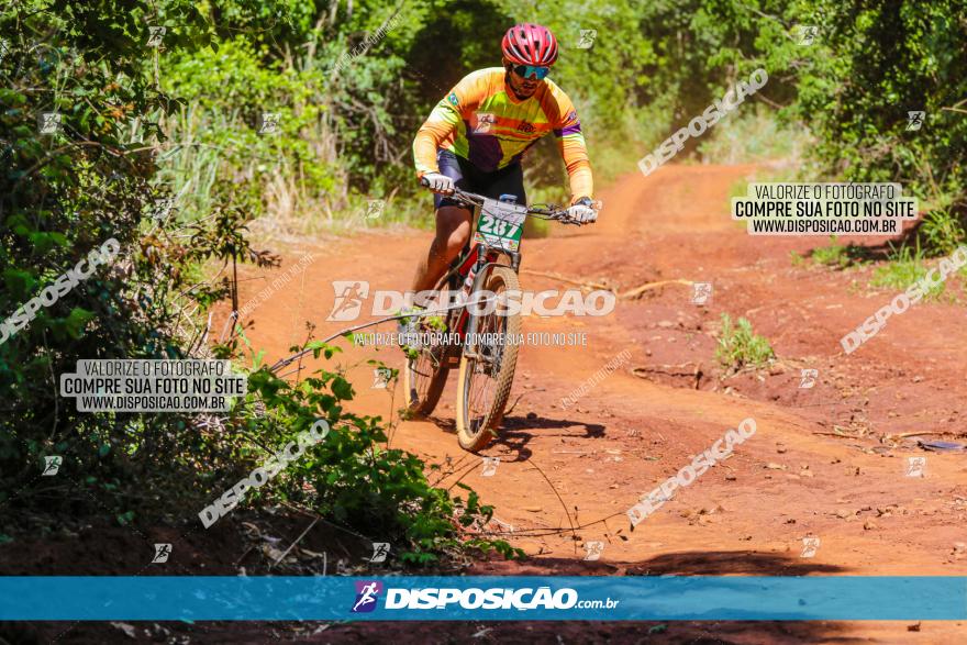 1º CAMPEONATO CINTURÃO VERDE BOUGAINVILLE PREMIUM - PRIMEIRA ETAPA