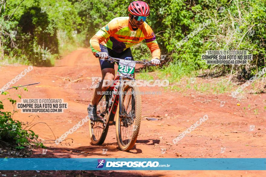 1º CAMPEONATO CINTURÃO VERDE BOUGAINVILLE PREMIUM - PRIMEIRA ETAPA