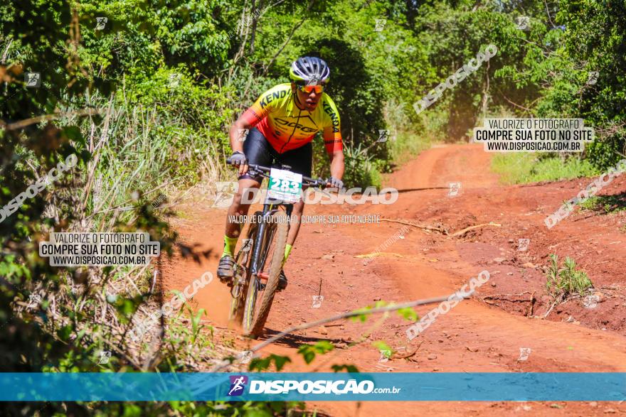 1º CAMPEONATO CINTURÃO VERDE BOUGAINVILLE PREMIUM - PRIMEIRA ETAPA