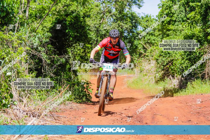 1º CAMPEONATO CINTURÃO VERDE BOUGAINVILLE PREMIUM - PRIMEIRA ETAPA