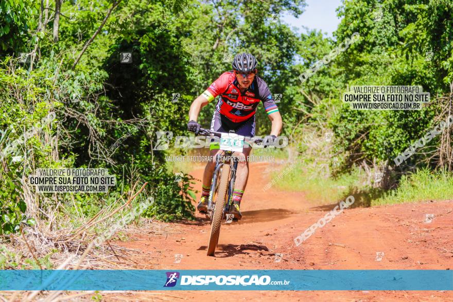 1º CAMPEONATO CINTURÃO VERDE BOUGAINVILLE PREMIUM - PRIMEIRA ETAPA