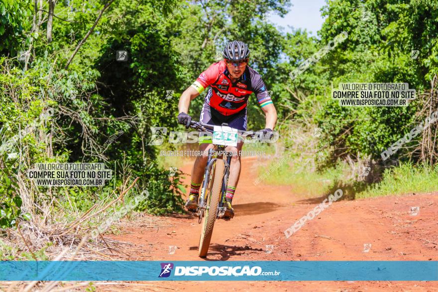 1º CAMPEONATO CINTURÃO VERDE BOUGAINVILLE PREMIUM - PRIMEIRA ETAPA