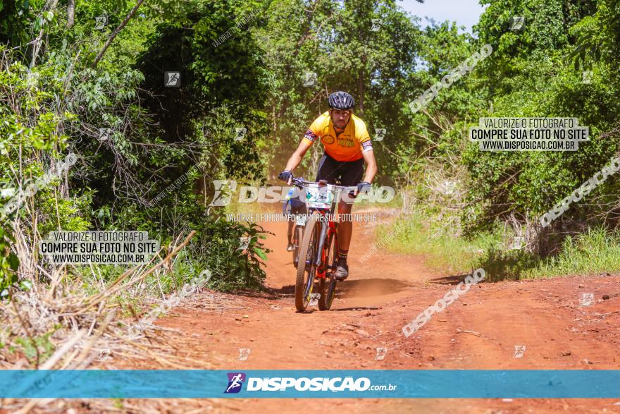 1º CAMPEONATO CINTURÃO VERDE BOUGAINVILLE PREMIUM - PRIMEIRA ETAPA