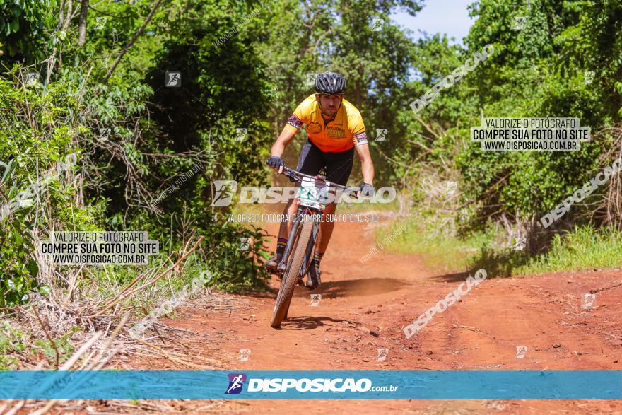 1º CAMPEONATO CINTURÃO VERDE BOUGAINVILLE PREMIUM - PRIMEIRA ETAPA