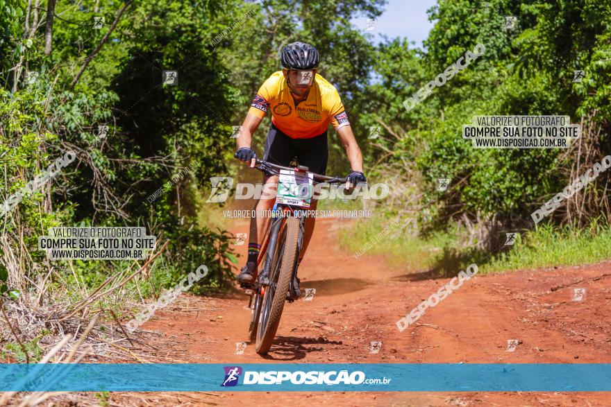 1º CAMPEONATO CINTURÃO VERDE BOUGAINVILLE PREMIUM - PRIMEIRA ETAPA