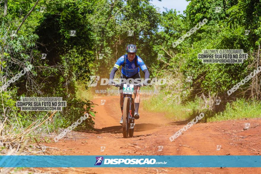 1º CAMPEONATO CINTURÃO VERDE BOUGAINVILLE PREMIUM - PRIMEIRA ETAPA