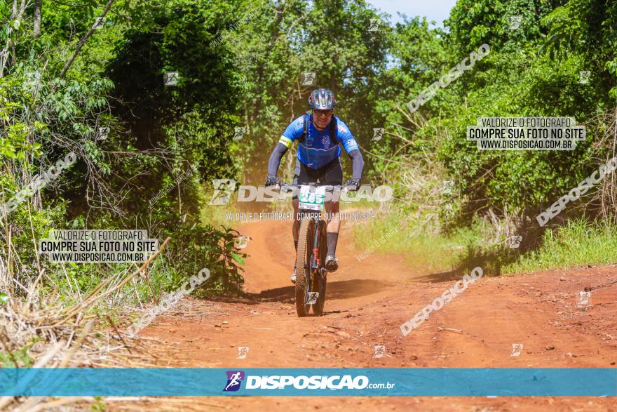 1º CAMPEONATO CINTURÃO VERDE BOUGAINVILLE PREMIUM - PRIMEIRA ETAPA